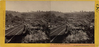 Railroad in Dutch Ravine looking East