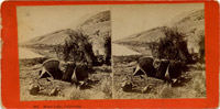 Mono Lake Paiutes