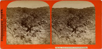 View of Lava Bed, looking West