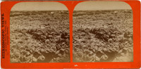 View of soldiers tents in Lava Bed
