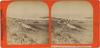 Headquarters on Tule Lake, taken from Bluff
