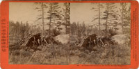 Washoe Indians Camp 