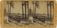 The Shore at Tahoe City
